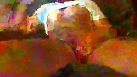 redtxchopper online show from November 18, 2025, 1:33 am