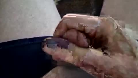 reggie007007 online show from February 16, 2026, 1:29 pm