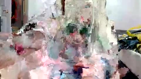 Snapshot of remshotdt chatting on December 3, 2024, 5:53 am remshotdt online show from December 3, 2024, 5:53 am