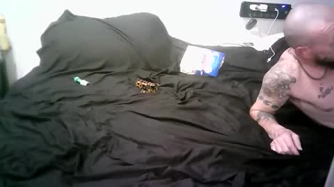 remshotdt online show from March 6, 2026, 5:48 am