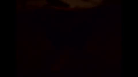 Shaved cock ready online show from January 15, 2025, 8:16 pm