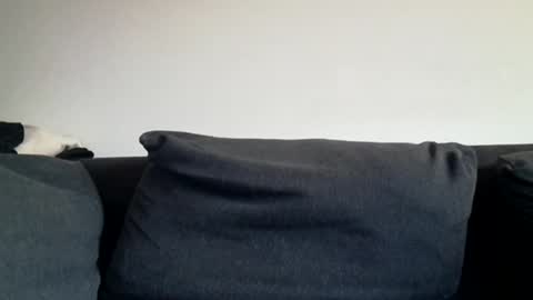 Snapshot of rhymes2479 chatting on March 31, 2026, 6:03 am Shaved cock ready online show from March 31, 2026, 6:03 am