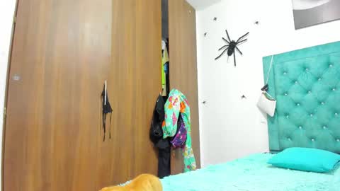 Rihanna hotx online show from November 20, 2025, 9:20 am