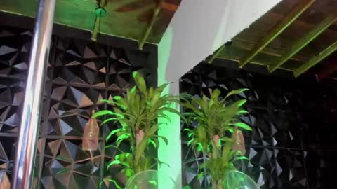 rihanna online show from December 5, 2024, 9:50 pm