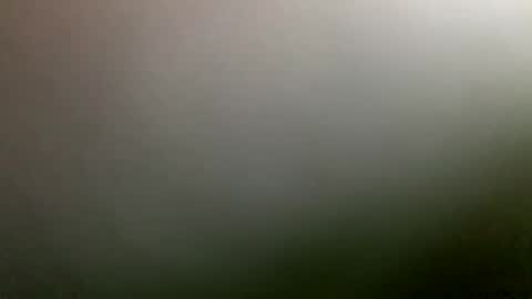 rimzari136 online show from April 4, 2026, 4:26 pm