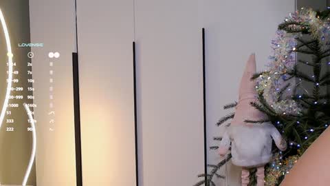 Rina online show from December 25, 2024, 8:29 am