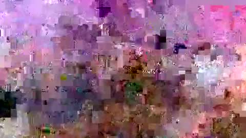 rise4333 online show from October 5, 2025, 7:56 pm