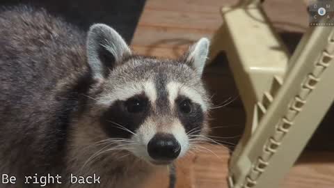 Ryan aka KeylimeRy online show from February 5, 2025, 5:53 pm