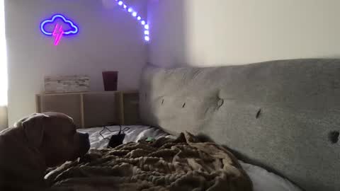 RoastingCorn online show from January 3, 2025, 10:29 pm