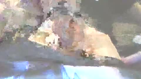 Snapshot of robertharley chatting on December 2, 2025, 11:04 am robertharley online show from December 2, 2025, 11:04 am