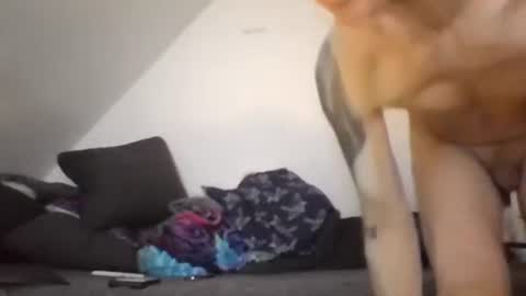 Snapshot of robertxxxpo chatting on February 26, 2026, 8:13 am Zenek online show from February 26, 2026, 8:13 am