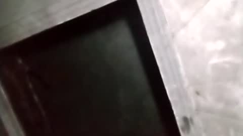 R online show from February 5, 2026, 2:05 am