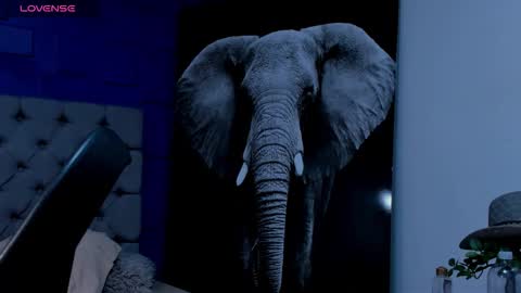 rocco_santos online show from September 19, 2025, 7:10 am