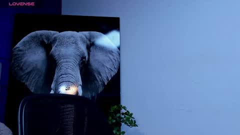 rocco_santos online show from September 23, 2025, 10:02 pm