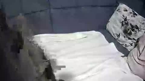 roccosan online show from October 4, 2025, 6:17 pm