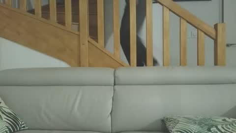 Romain online show from March 3, 2026, 6:47 pm