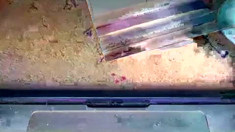 romeo9000x online show from January 6, 2026, 2:26 am