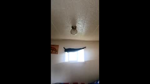 Snapshot of ronnieprovost996 chatting on May 22, 2026, 11:21 pm ronnieprovost996 online show from May 22, 2026, 11:21 pm