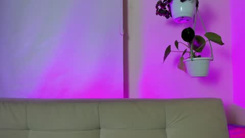 Snapshot of roselinedior chatting on January 16, 2025, 6:37 pm Lyla OF roselinedior online show from January 16, 2025, 6:37 pm