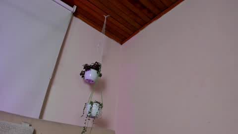 Snapshot of roselinedior chatting on January 26, 2025, 2:52 pm Lyla OF roselinedior online show from January 26, 2025, 2:52 pm