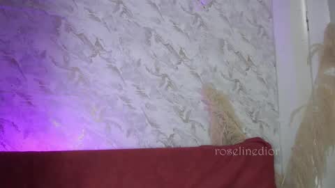 Snapshot of roselinedior chatting on December 5, 2025, 1:52 pm Lyla OF roselinedior online show from December 5, 2025, 1:52 pm
