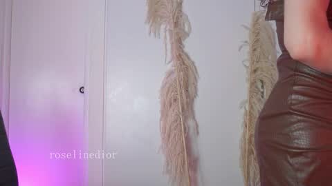 Snapshot of roselinedior chatting on January 13, 2026, 2:22 pm Lyla OF roselinedior online show from January 13, 2026, 2:22 pm