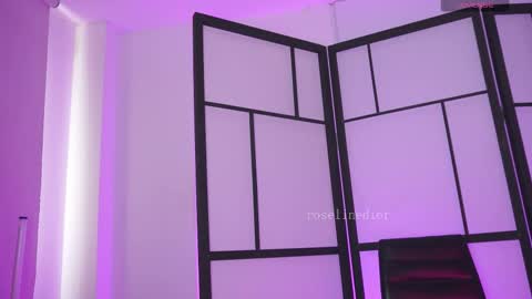 Snapshot of roselinedior chatting on February 18, 2026, 3:41 pm Lyla OF roselinedior online show from February 18, 2026, 3:41 pm