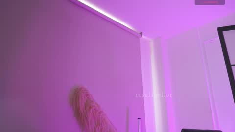 Snapshot of roselinedior chatting on February 19, 2026, 8:49 pm Lyla OF roselinedior online show from February 19, 2026, 8:49 pm