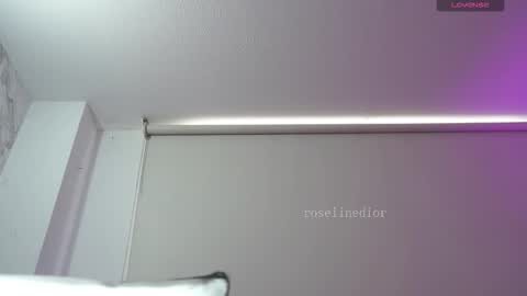 Snapshot of roselinedior chatting on February 28, 2026, 2:51 pm Lyla OF roselinedior online show from February 28, 2026, 2:51 pm