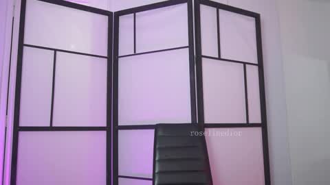 Snapshot of roselinedior chatting on March 4, 2026, 2:23 pm Lyla OF roselinedior online show from March 4, 2026, 2:23 pm