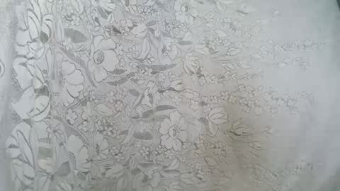 rosia online show from October 31, 2025, 7:53 am