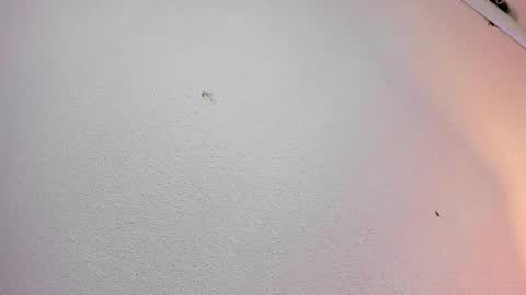 rosie_jhons online show from February 2, 2025, 3:21 am