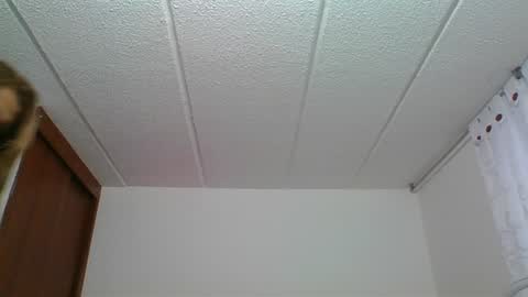 Rossana  online show from December 30, 2024, 10:23 pm