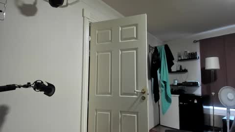 Snapshot of rostungurinn chatting on February 27, 2025, 4:43 pm Rostungur online show from February 27, 2025, 4:43 pm