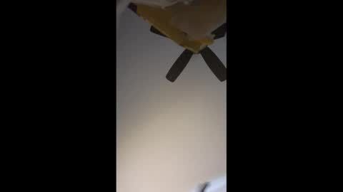 No More Vanilla online show from April 2, 2026, 4:37 pm