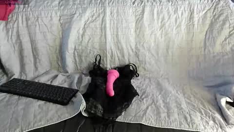 roxaneramirez online show from May 6, 2026, 6:08 am
