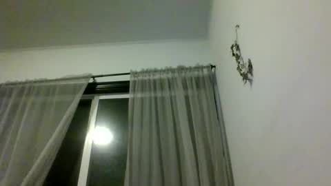 Snapshot of royboy2561 chatting on September 21, 2025, 5:42 am Roy Murrin online show from September 21, 2025, 5:42 am