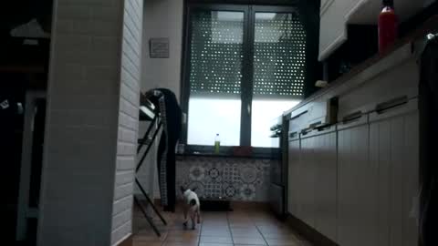Snapshot of ruan8080 chatting on February 1, 2025, 10:48 am petit cochon online show from February 1, 2025, 10:48 am
