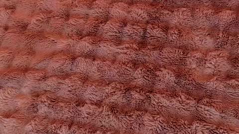 Ruby Luxe online show from April 5, 2026, 4:53 am