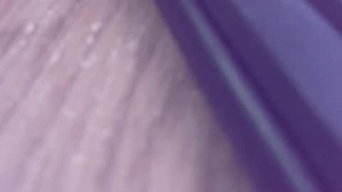 rudiandhisdick online show from March 26, 2026, 1:17 pm