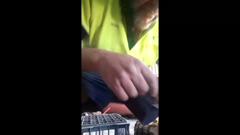 Snapshot of rustynuts95716 chatting on March 20, 2026, 4:50 am rustynuts95716 online show from March 20, 2026, 4:50 am