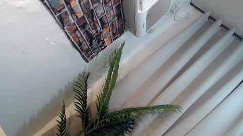 Snapshot of ryan_hyeson chatting on January 26, 2025, 6:27 pm Its me Ryan online show from January 26, 2025, 6:27 pm