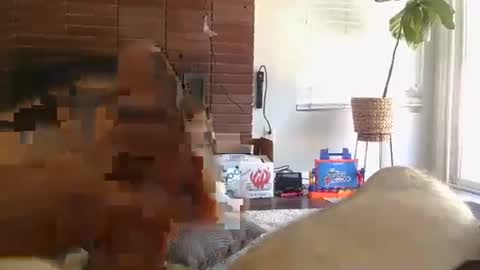 ryanbobby88 online show from September 13, 2025, 8:08 pm