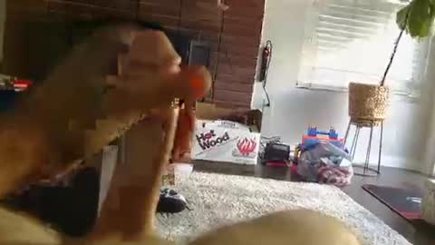 ryanbobby88 online show from September 25, 2025, 12:25 am