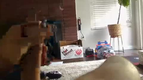 ryanbobby88 online show from September 27, 2025, 12:48 am