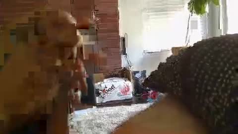 ryanbobby88 online show from September 28, 2025, 11:21 pm