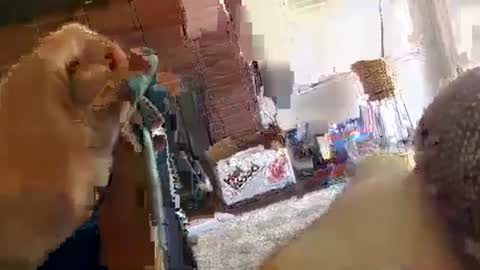 ryanbobby88 online show from September 29, 2025, 9:08 pm