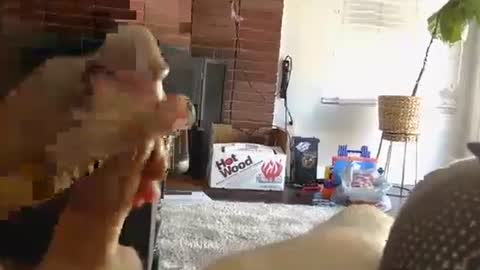 ryanbobby88 online show from October 1, 2025, 9:43 pm