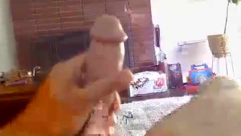 ryanbobby88 online show from October 16, 2025, 9:27 pm