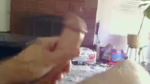 ryanbobby88 online show from October 31, 2025, 9:16 pm